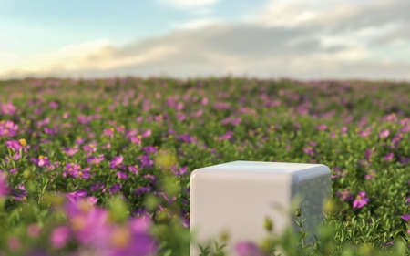 Abstract flower field scene with podium for product display background. 3d rendering