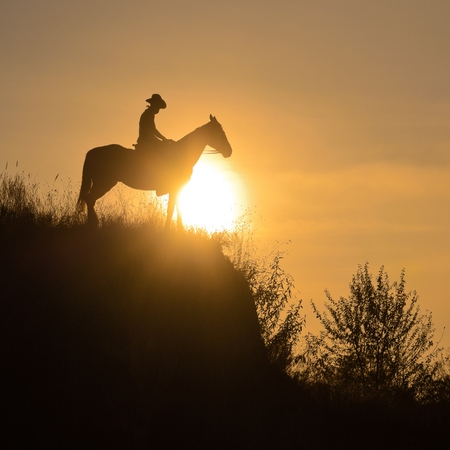 Silhouette of a guy sitting astride a horse over the edge of a cliff in the rays of the sun. Summerの写真素材