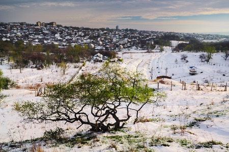 Trees on the spring hills covered with snow. Ukraine Dnepropetrovskの写真素材