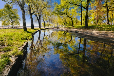 Beautiful reflection of trees in a puddle in a city park in the early morning. Monastyrskyj Island, Dnepropetrovsk, Ukraineの写真素材