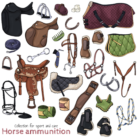 Group of vector colorful illustrations on the theme horse ammunition; set of isolated objects for equestrian sport and care. Pictures contain realistic shadows and glare.のイラスト素材