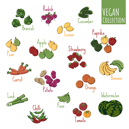 Group of vector colorful illustrations on the vegetarianism theme: various types of fresh vegetables and fruits. Zero waste. Eco lifestyle. Isolated objects for your design.のイラスト素材