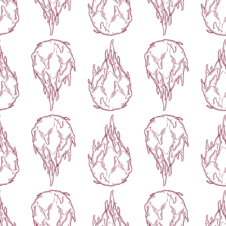 Vector pattern of dragon fruit in sketch style. Isolated objects for your design. Each object can be changed and moved.のイラスト素材