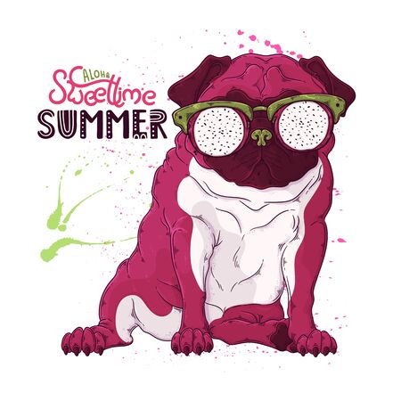 Vector hand drawn illustration. Portrait of the dog in glasses under the effect of pitaya. The pug sits with a funny expression on his face. Each object can be changed and moved for your design.のイラスト素材