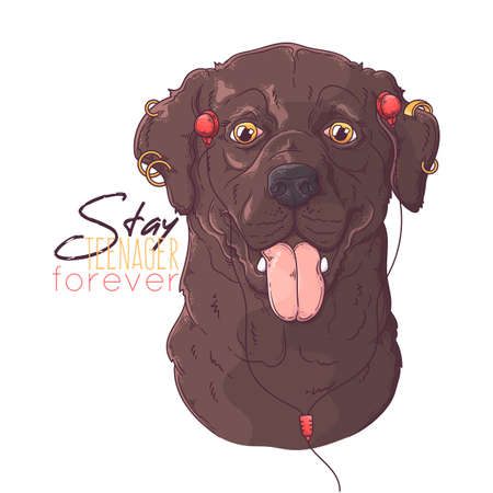 Hand drawn Labrador Retriever dog with headphones and piercings Vector. Isolated objects for your design. Each object can be changed and moved.のイラスト素材