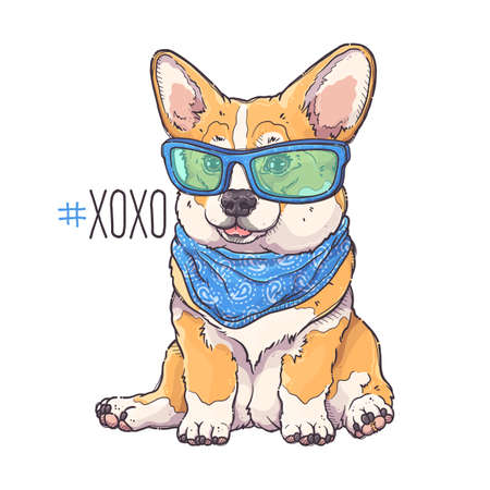Hand drawn corgi puppy portrait Vector. Dog with bandana and glasses.のイラスト素材
