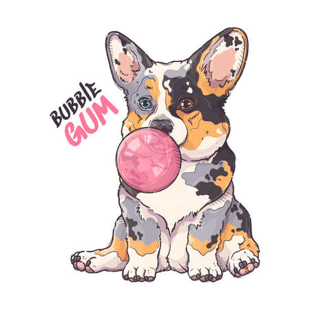 Hand drawn corgi puppy portrait Vector. Dog puffs out the gum.のイラスト素材