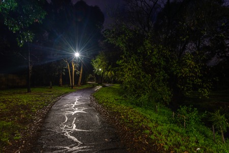 Lonely path in the darkの写真素材