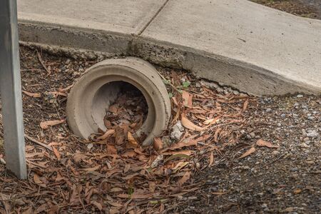 Leaves starting to clog a drain pipe, autumn