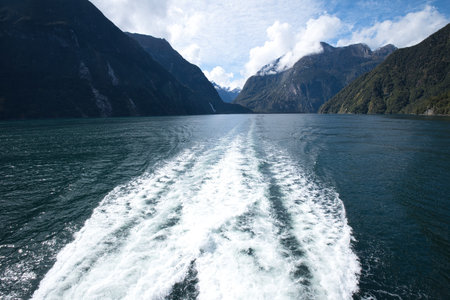 The fjord scene trip through Milford Sound, New zealand.の写真素材