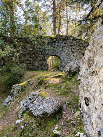 The remains of the walls of the old house are overgrown with grass and mossの写真素材