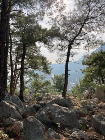 The edge of the cliff with trees growing on it and a view of the stone valley and mountainsの写真素材