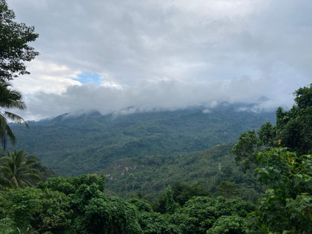 Tropical mountains covered with jungle low clouds of palm trees and tropical plantsの写真素材