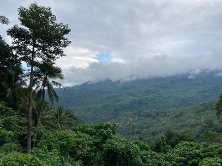 Tropical mountains covered with jungle low clouds of palm trees and tropical plantsの写真素材