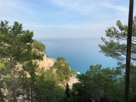 Abandoned scenic old road along the sea and cliffs, view from above from the cliff through the treesの写真素材