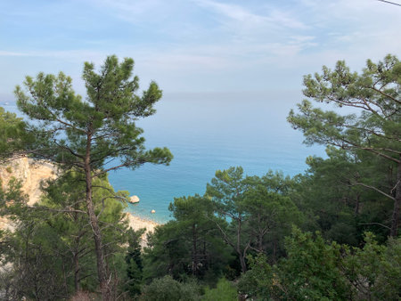 Abandoned scenic old road along the sea and cliffs, view from above from the cliff through the treesの写真素材
