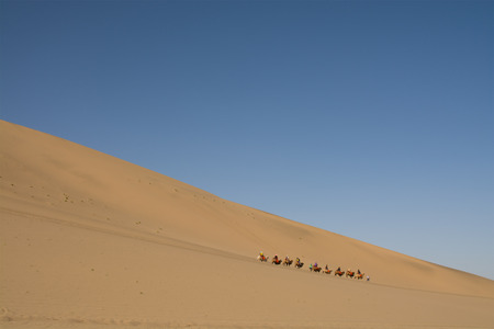 Camel caravan going through the sand dunes in the Gobi Desert Chinaの写真素材