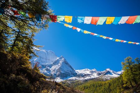 Mountain with snow and pine forest in a sunshine day of autumn, there are Tibet Prayer Flags in foreground. It has taken at Yading, Sichuan, China.の写真素材