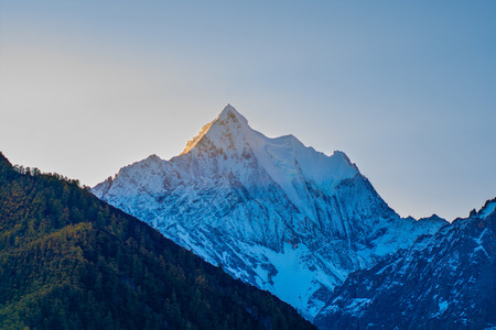 Mountain with snow and pine forest in autumn, taken in the morning, Yading, Sichuan, China