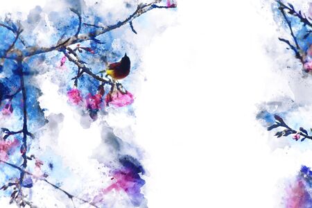 Abstract Gould's Sun bird on cherry branch with flowers watercolor painting on white background, digital illustrationの写真素材