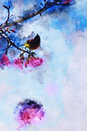 Abstract Gould's Sunbird on cherry branch watercolor painting with blue sky background, digital illustrationの写真素材