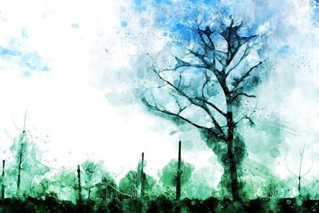 Abstract dead tree in blue background, digital watercolor illustrationの写真素材
