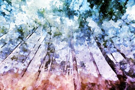 Pine forest with grass field, digital watercolor illustrationの写真素材