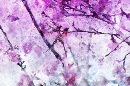 Abstract cherry branch and Gould's Sunbird watercolor painting on white background, digital illustrationの写真素材