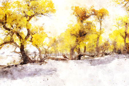 Forest in autumn season, digital watercolor paintingの写真素材