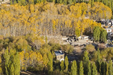 Village in autumn, Ladakh Region, Jammu and Kashmir State, Indiaの写真素材