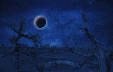 Desert trees in night with sky and stars background. planet in space. fantasy image