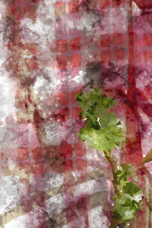Digital abstract painting in red tone for backgroundの写真素材