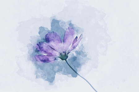 Digital watercolor painting of pink cosmos flowerの写真素材