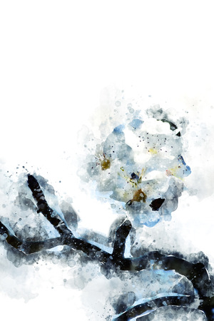 Digital watercolor painting of white flowersの写真素材