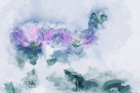 Digital watercolor painting of pink cosmos flowersの写真素材