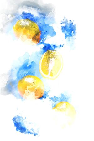 Painting of orange on white background, summer background conceptの写真素材