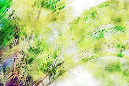 Abstract painting of tropical palm leaves, nature image, digital watercolor illustration, art for backgroundの写真素材