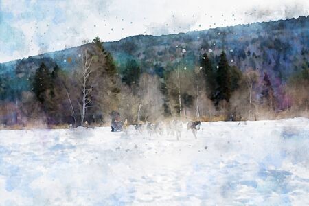 Abstract painting of sled dogs in winter season, nature landscape image, digital watercolor illustration, art for backgroundの写真素材