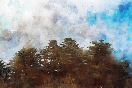 Abstract painting of pine trees in forest, nature landscape image, digital watercolor illustration, art for backgroundの写真素材