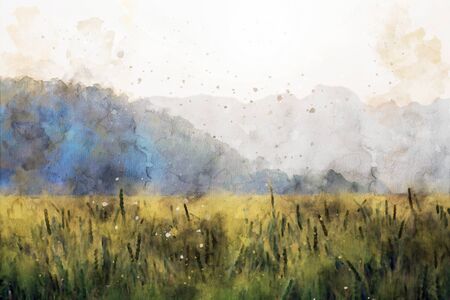 Wheat field against sky at sunset time, digital watercolor paintingの写真素材