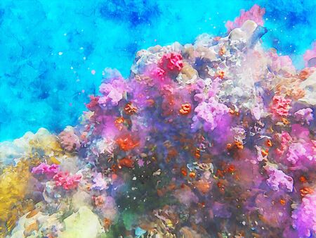 Abstract painting of marine life, underwater landscape image, colorful sea life, digital watercolor illustrationの写真素材