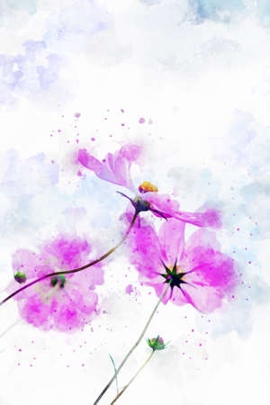 Watercolor painting of pink cosmoses with sky backgroundの写真素材