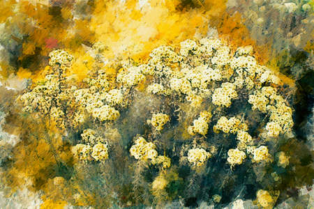 Abstract digital painting of wild flower in yellow tones, oil painting on canvasの写真素材