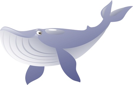Isolated blue whale on white background. Vector illustrationのイラスト素材