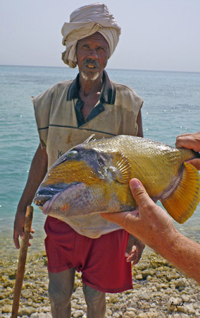 Sudanese fisherman sells a triggerfish on the public beach near Port Sudan