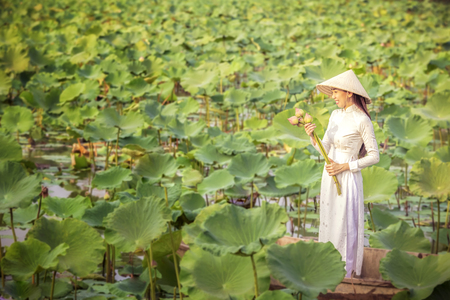 Vietnamese female on a wooden boat collecting lotus flowers. Asian women sitting on wooden boats to collect lotus. Beautiful girl wearing traditional Vietnamese dress hand holding pink flowers.の写真素材