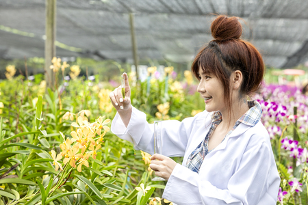 Scientists smile holding a computer in an orchid garden. Botanical research researchers, orchids, wearing a scientist's shirt and her hands holding a science experiment tube And experimenting with plant varietiesの写真素材