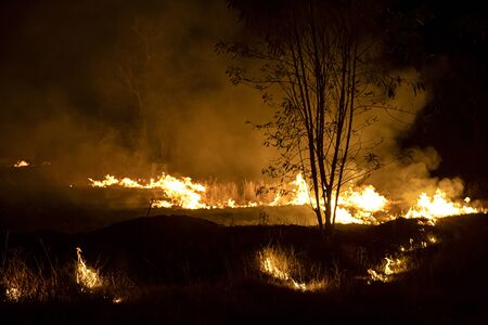 Wild fires that usually occur during the dry season of Thailand. Fire caused by burning sugarcane until dust, smoke and PM2.5 dust. Thailand Apr11, 2019.のeditorial素材