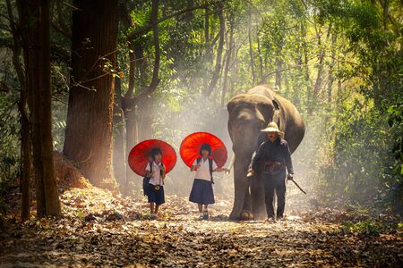 Community life. School children and elephants. Student little asian are raising elephants, Tha Tum District, Surin, Thailand.の写真素材
