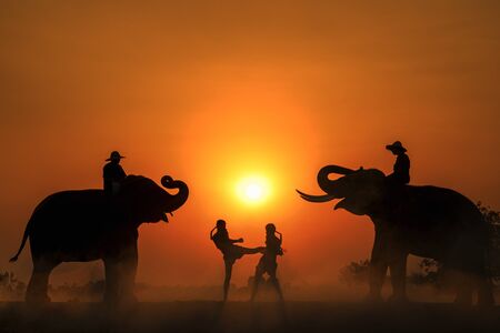 Silhouette light with boxers and elephants fighting. Boxing Fighting with elephants is the background. Krapho, Tha Tum District, Surin, Thailand.の写真素材